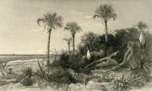 On the Coast of Florida by Robert Hinshelwood