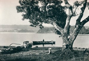 Church Island, Lough Gill, Sligo