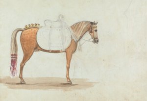 Unfinished Sketch of an Elaborately Saddled Horse by Robert Mabon