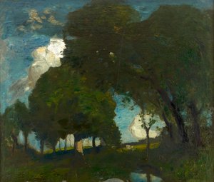 Woodland by Moonlight