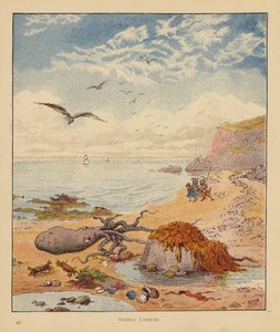 The Kitten Pilgrims: Octopus Untruth by Robert Michael Ballantyne