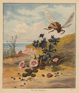The Kitten Pilgrims: The Wasp Discontent