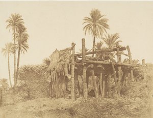 Nubian Sakkieh, or Water Wheel by Robert Murray.