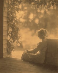 September Sun by Robert Peckham
