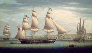 The Ship 