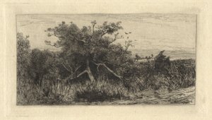 Gnarled Tree by Robert Swain Gifford