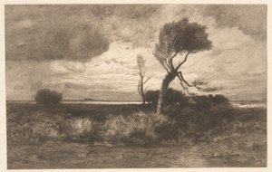 Near the Coast