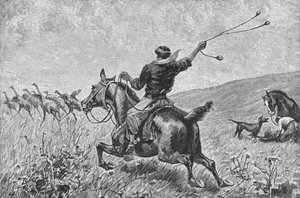 Throwing The Bolas