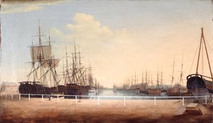 A West View of the New Dock at Kingston upon Hull