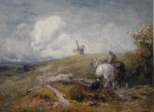 Driving Sheep on the South Downs