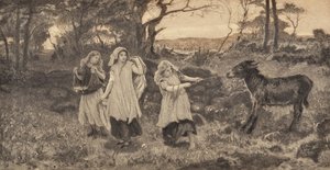 Three Girls and a Donkey