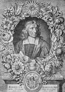 Robert Morison