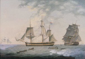Whaling in the Arctic by Robert Willoughby