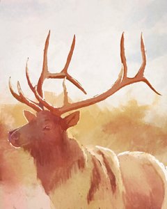 Bull Elk by Roberta Murray