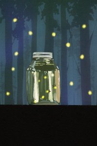 Chasing Fireflies