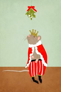 The Kissing King by Roberta Murray