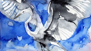 Blue Heron in Flight by RodMacIver
