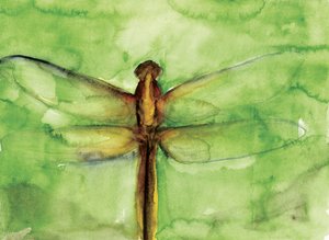Green Dragonfly Watercolor by RodMacIver