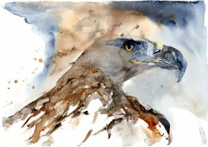 Majestic Watercolor Eagle by RodMacIver