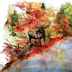 Moose in Colorful Fall by RodMacIver