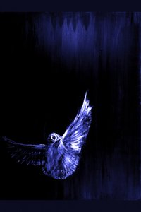 Mystic Blue Owl Flight by RodMacIver