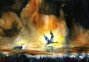 Sunset Water Birds by RodMacIver