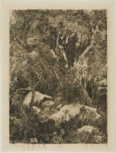 The Forest of Fontainebleau by Rodolphe Bresdin