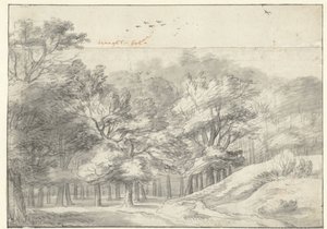 View in the Haagse Bos by Roelant Roghman