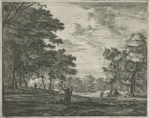 Walker in the Hague Forest