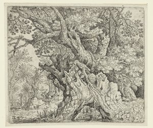Gnarled Trees near the Water by Roelant Savery