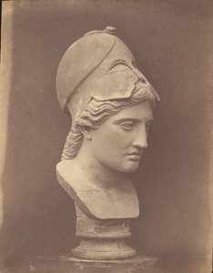 Head of Minerva (3/4 view) by Roger Fenton