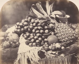 Still Life with Fruit by Roger Fenton