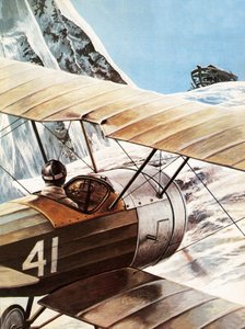 Spotting the Ark by Roger Payne