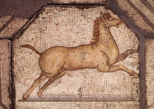 A Horse (detail) from Orpheus Charming the Animals