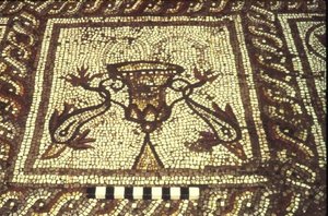 Dolphin Mosaic, Insula XXVIII, Building 3 by Roman