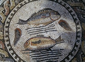 Fish, Mosaic in Roman City of Volubilis (UNESCO World Heritage List)