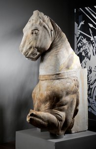 Front part of a horse by Roman