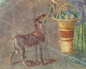Goat and basket of fruit, fresco from Pompeii, Campania, Italy, Roman civilization by Roman