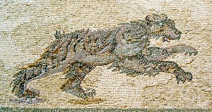 Hunting Scene, Detail of a Bear, House of Dionysos, Paphos, Cyprus