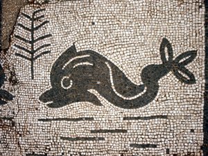 Representation of a dolphin after a mosaic in the square of the Corporazioni of Ostia antica by Roman