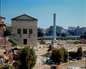 Roman Forum: View of the Curia by Roman