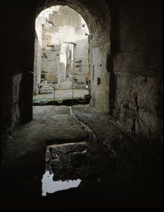 View of the Underground Passages of the Colosseum by Roman