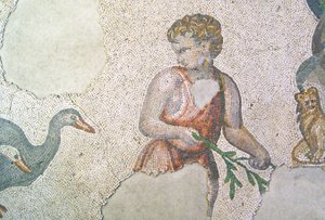 Unknown Image