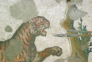 Unknown Image