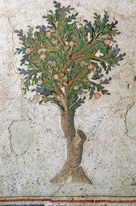 Unknown Image by Roman