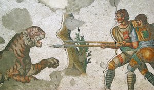 Unknown Image