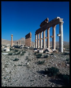 View of Palmyra Remains