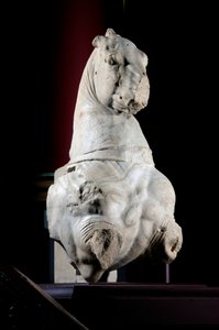 Front Part of a Horse by Roman Roman