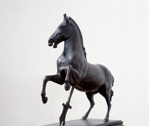 Galloping Horse by Roman Roman