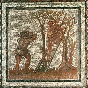 Harvesting Olives by Roman Roman